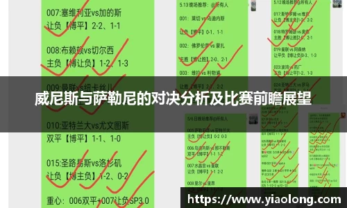 威尼斯与萨勒尼的对决分析及比赛前瞻展望